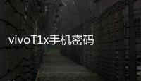 vivoT1x手機密碼忘了怎么刷機？一鍵解鎖法 極速開機