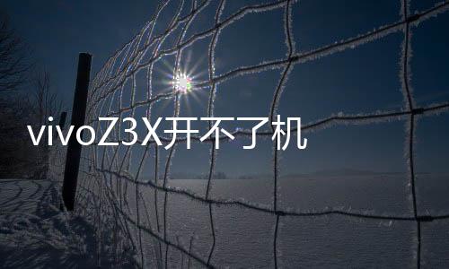 vivoZ3X開不了機怎么辦？線刷寶教程