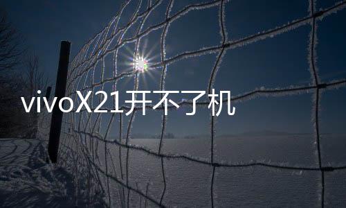 vivoX21開不了機(jī)怎么辦？線刷寶教程