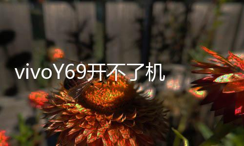 vivoY69開不了機怎么辦？線刷寶教程