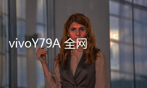 vivoY79A 全網通開不了機怎么辦？線刷寶教程