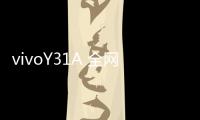 vivoY31A 全網(wǎng)通 C版本開不了機(jī)怎么辦？線刷寶教程