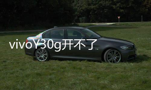 vivoY30g開(kāi)不了機(jī)怎么辦？線刷寶教程