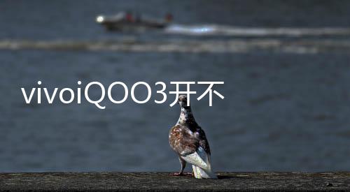 vivoiQOO3開(kāi)不了機(jī)怎么辦？線刷寶教程