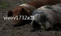 vivov1732a怎么恢復出廠設置