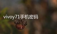 vivoy71手機密碼忘了怎么刷機？一鍵解鎖法 極速開機