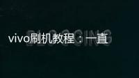 vivo刷機教程：一直重啟、忘了密碼怎么辦？vivo手機刷機包下載