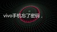 vivo手機(jī)忘了密碼，雙清需要密碼怎么辦？
