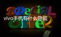 vivo手機有什么隱藏的代碼（vivo手機透明代碼）