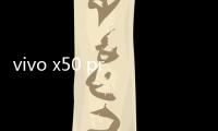 vivo x50 pro+手機密碼忘了怎么刷機？一鍵解鎖法 極速開機