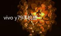 vivo y79手機密碼忘了怎么刷機？一鍵解鎖法 極速開機