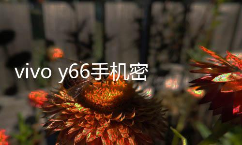 vivo y66手機密碼忘了怎么刷機？一鍵解鎖法 極速開機