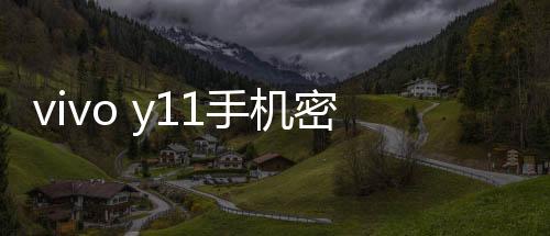 vivo y11手機(jī)密碼忘了怎么刷機(jī)？一鍵解鎖法 極速開(kāi)機(jī)