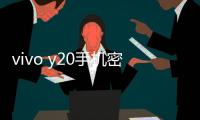 vivo y20手機密碼忘了怎么刷機？一鍵解鎖法 極速開機