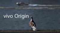 vivo OriginOS 公布 3 月體驗(yàn)更新計(jì)劃，新增快速上滑關(guān)閉小窗手勢(shì)等