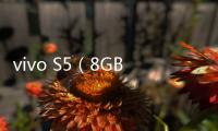 vivo S5（8GB/128GB/全網通） 安卓手機越來越慢，手機越來越卡怎么解決？