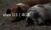 vivo U3（4GB/64GB/全網通）忘了手機密碼怎么辦？