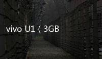 vivo U1（3GB RAM/全網通）手機密碼忘了怎么破？