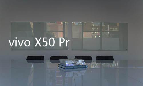 vivo X50 Pro手機一直重啟怎么辦?手機忘記密碼怎么一鍵刷機？