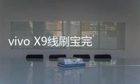 vivo X9線刷寶完美ROOT工具教程
