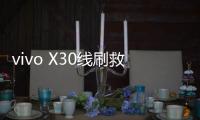 vivo X30線刷救磚教程 救磚包 系統升級