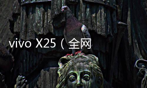 vivo X25（全網通）刷機教程：一直重啟、忘了密碼怎么辦？手機刷機包下載