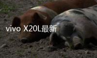 vivo X20L最新版本刷機(jī)教程，附帶視頻教學(xué)，線刷救磚詳解