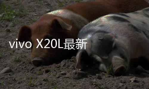 vivo X20L最新版本刷機(jī)教程，附帶視頻教學(xué)，線刷救磚詳解