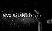 vivo X21線刷救磚教程 救磚包 系統升級