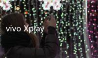 vivo Xplay 聯通版手機忘記密碼解鎖開機