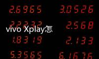 vivo Xplay怎么卡刷升級(jí)？recovery模式刷機(jī)方法