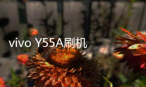 vivo Y55A刷機軟件哪個好？選擇線刷寶怎么樣？線刷救磚工具