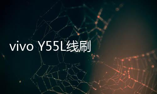 vivo Y55L線刷寶完美ROOT工具教程