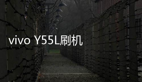 vivo Y55L刷機軟件哪個好？選擇線刷寶怎么樣？線刷救磚工具