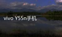 vivo Y55n手機不能連接USB，線刷寶怎么刷機？