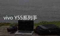 vivo Y55系列手機(jī)刷機(jī)工具，安卓刷機(jī)大師教程圖解