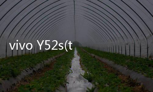 vivo Y52s(t1版)忘記鎖屏密碼怎么辦？別急，線刷寶給您支招