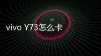 vivo Y73怎么卡刷升級(jí)？recovery模式刷機(jī)方法