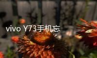 vivo Y73手機忘記密碼解鎖開機