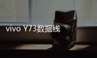 vivo Y73數(shù)據(jù)線連接不上，USB連接失敗，連接不穩(wěn)定能刷機嗎？