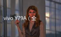 vivo Y79A（全網(wǎng)通）手機(jī)開不了機(jī)，能不能root刷機(jī)解決？