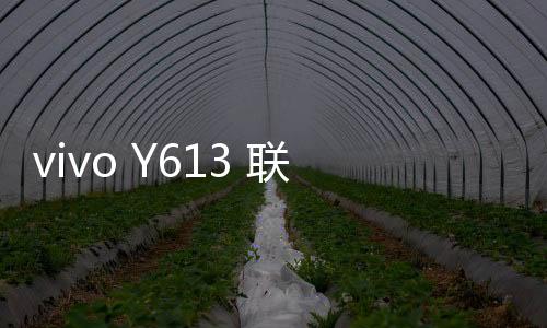 vivo Y613 聯通3G忘記鎖屏密碼怎么辦？別急，線刷寶給您支招