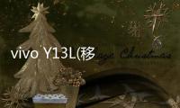 vivo Y13L(移動(dòng)定制版)（移動(dòng)4G）手機(jī)開不了機(jī)，能不能root刷機(jī)解決？