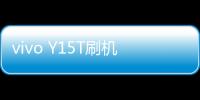 vivo Y15T刷機軟件哪個好？選擇線刷寶怎么樣？線刷救磚工具