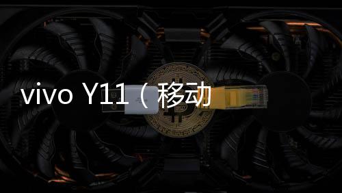 vivo Y11（移動(dòng)3G）手機(jī)開不了機(jī)，能不能root刷機(jī)解決？