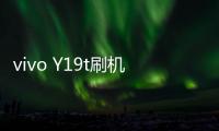 vivo Y19t刷機軟件哪個好？選擇線刷寶怎么樣？線刷救磚工具