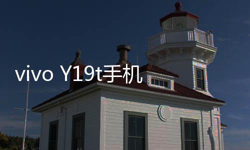 vivo Y19t手機密碼忘了怎么辦?手機密碼忘了怎么解鎖?