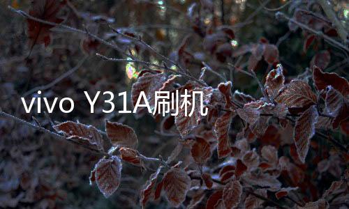 vivo Y31A刷機軟件哪個好？選擇線刷寶怎么樣？線刷救磚工具
