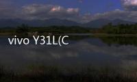 vivo Y31L(C版本)（移動(dòng)版）手機(jī)開不了機(jī)，能不能root刷機(jī)解決？