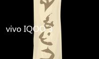 vivo IQOO 3線刷寶完美ROOT工具教程